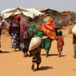 EUECHOAnouk-Delafortrie-via-Flickr-33345967243_efaa05afad_k-cb493246