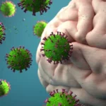 gehirn-corona-102_v-variantBig16x9_w-576_zc-915c23fa